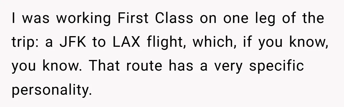 I was working First Class on one leg of the trip: a JFK to LAX flight, which, if you know, you know. That route has a very specific personality.