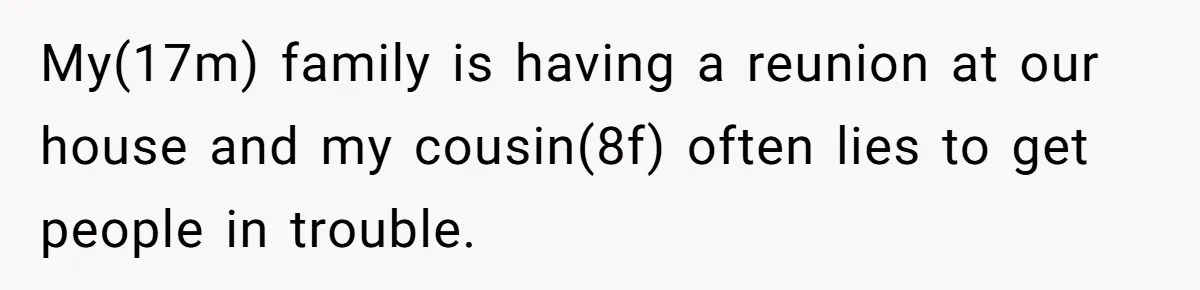 My(17m) family is having a reunion at our house and my cousin(8f) often lies to get people in trouble.