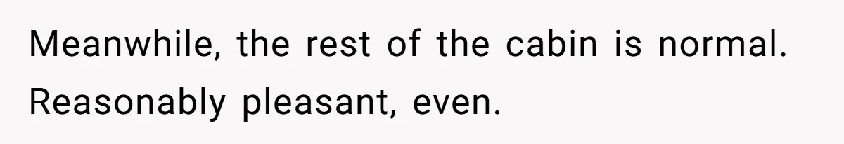 Meanwhile, the rest of the cabin is normal. Reasonably pleasant, even.