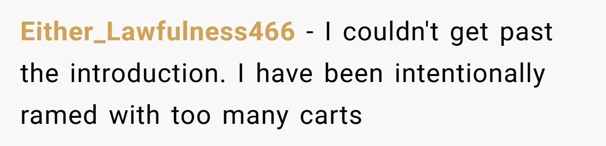 Either_Lawfulness466 − I couldn't get past the introduction. I have been intentionally ramed with too many carts