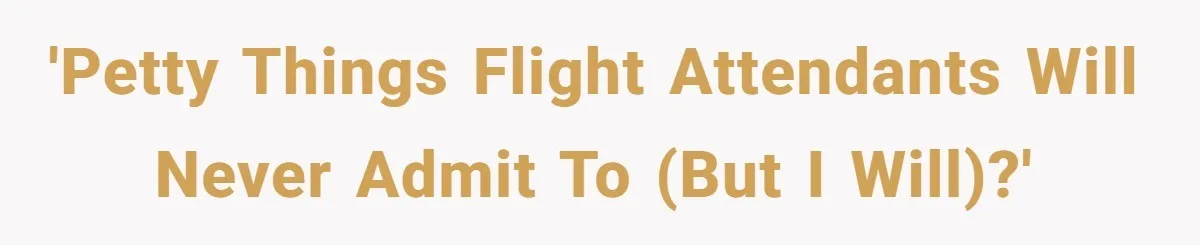 'Petty Things Flight Attendants Will Never Admit to (But I Will)?'
