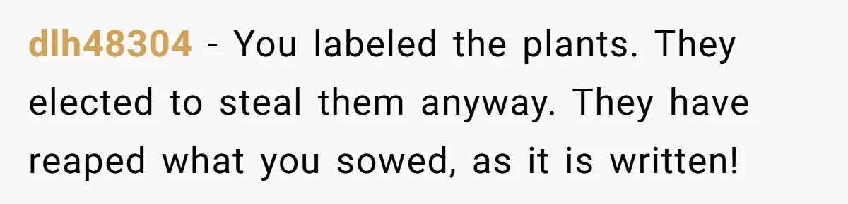 dlh48304 − You labeled the plants. They elected to steal them anyway. They have reaped what you sowed, as it is written!