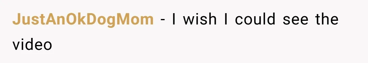 JustAnOkDogMom − I wish I could see the video