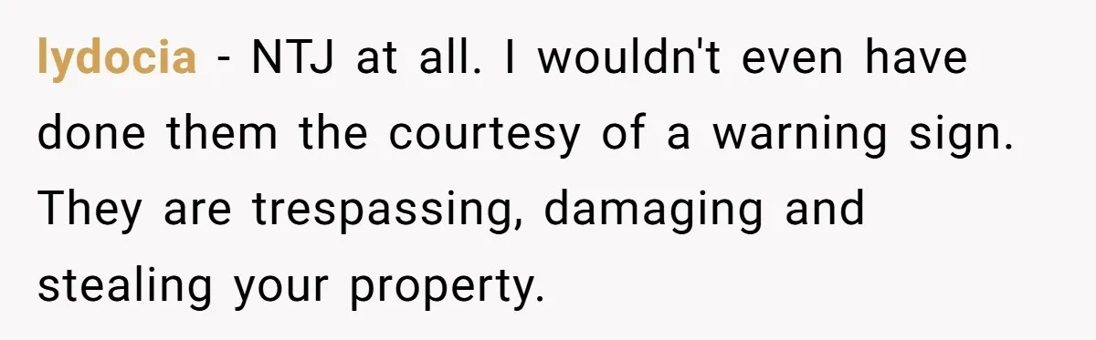 lydocia − NTJ at all. I wouldn't even have done them the courtesy of a warning sign. They are trespassing, damaging and stealing your property.