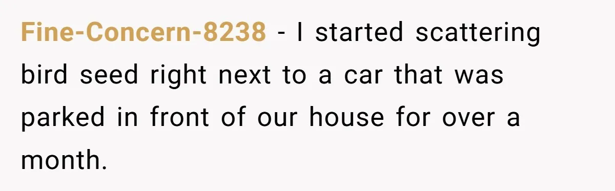 Fine-Concern-8238 − I started scattering bird seed right next to a car that was parked in front of our house for over a month.