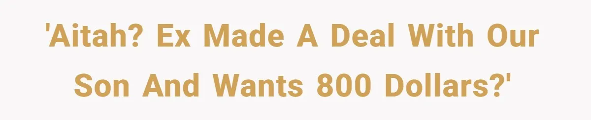 'Aitah? Ex made a deal with our son and wants 800 dollars?'
