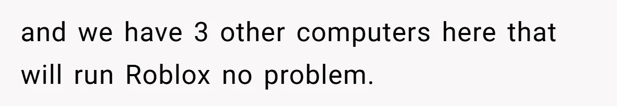 and we have 3 other computers here that will run Roblox no problem.