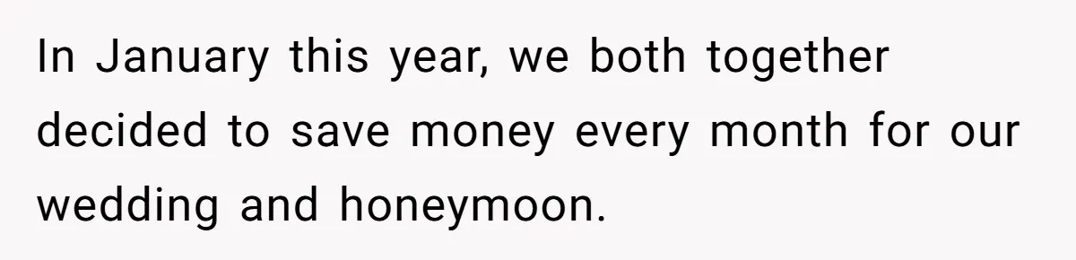 In January this year, we both together decided to save money every month for our wedding and honeymoon.