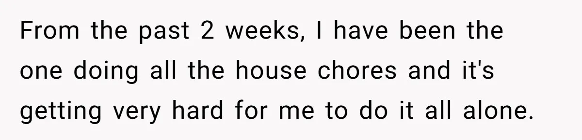 From the past 2 weeks, I have been the one doing all the house chores and it's getting very hard for me to do it all alone.