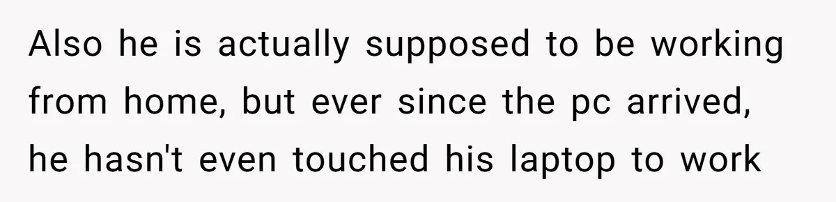 Also he is actually supposed to be working from home, but ever since the pc arrived, he hasn't even touched his laptop to work