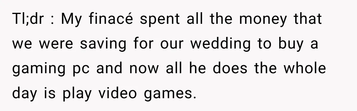Tl;dr : My finacé spent all the money that we were saving for our wedding to buy a gaming pc and now all he does the whole day is play...