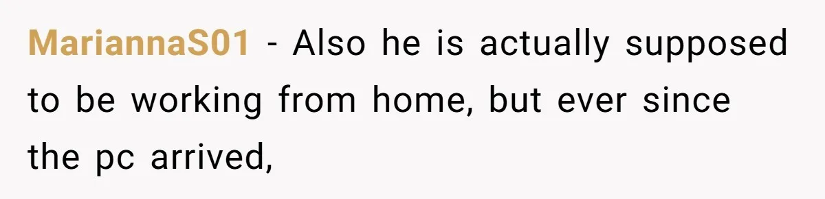 MariannaS01 − Also he is actually supposed to be working from home, but ever since the pc arrived,
