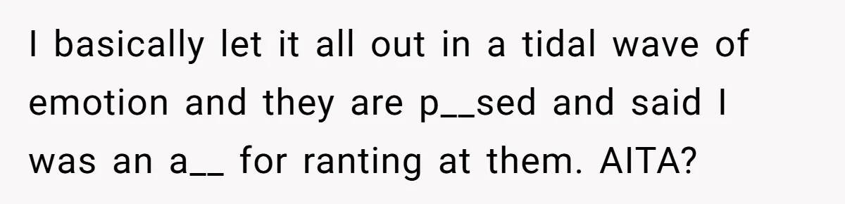 I basically let it all out in a tidal wave of emotion and they are p__sed and said I was an a__ for ranting at them. AITA?