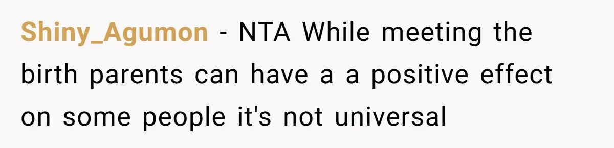 Shiny_Agumon − NTA While meeting the birth parents can have a a positive effect on some people it's not universal