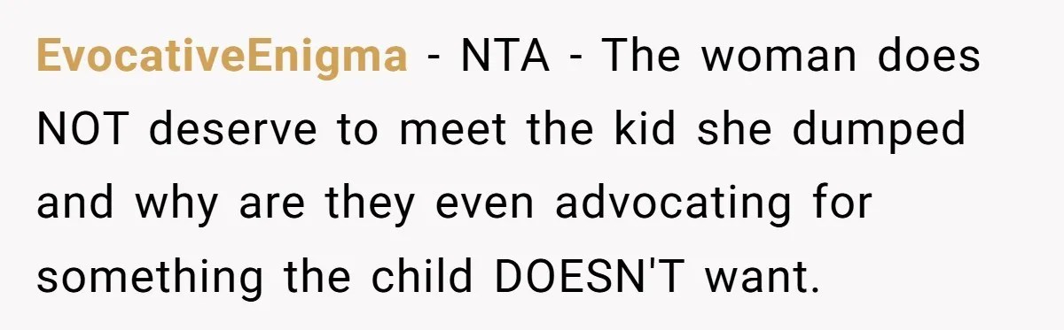 EvocativeEnigma − NTA - The woman does NOT deserve to meet the kid she dumped and why are they even advocating for something the child DOESN'T want.