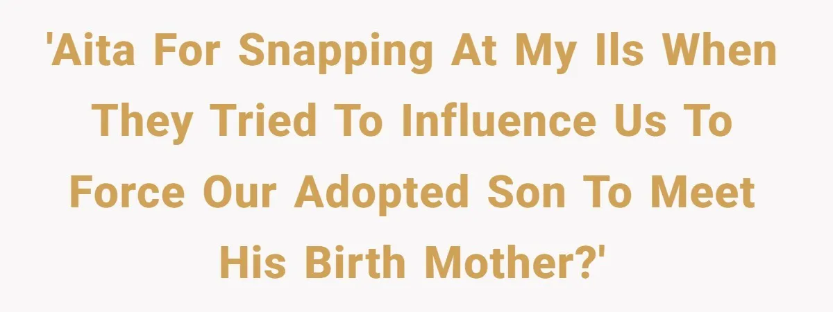 'AITA for snapping at my ILs when they tried to influence us to force our adopted son to meet his birth mother?'