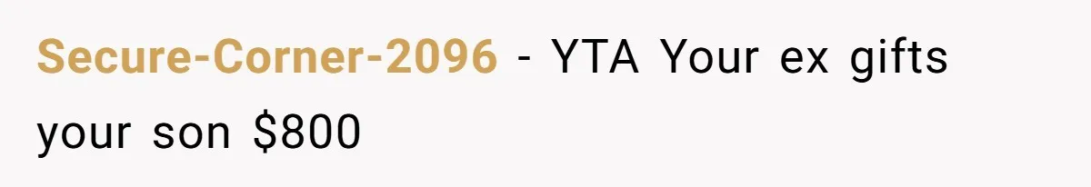 Secure-Corner-2096 − YTA Your ex gifts your son $800