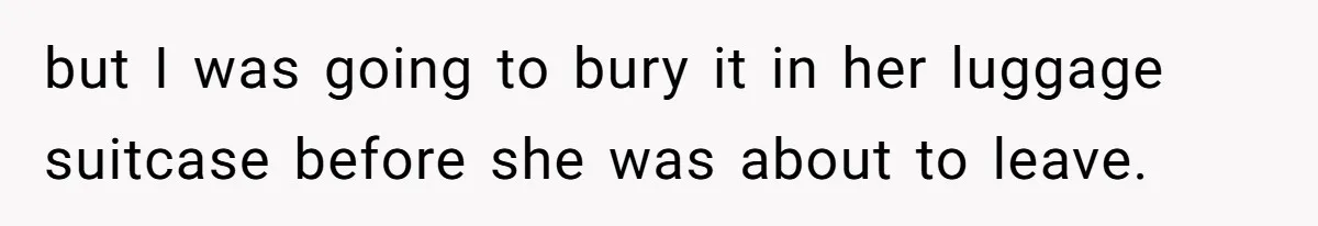 but I was going to bury it in her luggage suitcase before she was about to leave.