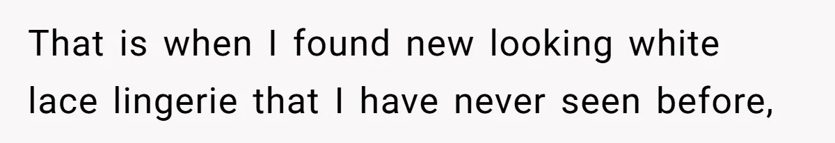 That is when I found new looking white lace lingerie that I have never seen before,