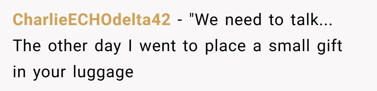 CharlieECHOdelta42 − "We need to talk... The other day I went to place a small gift in your luggage