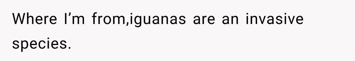 Where I’m from,iguanas are an invasive species.
