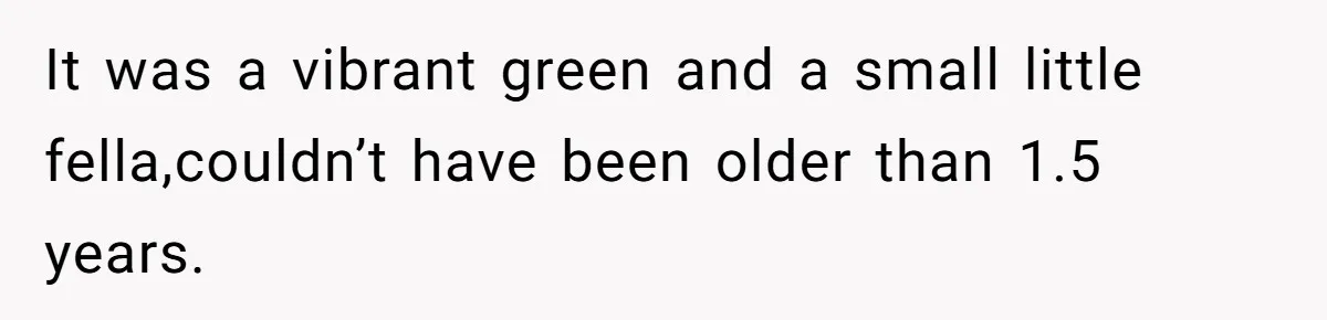 It was a vibrant green and a small little fella,couldn’t have been older than 1.5 years.