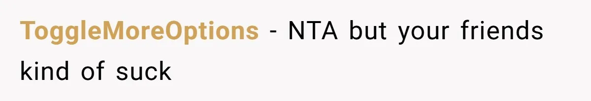 ToggleMoreOptions − NTA but your friends kind of suck