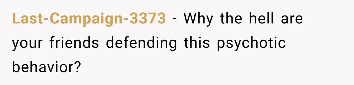 Last-Campaign-3373 − Why the hell are your friends defending this psychotic behavior?