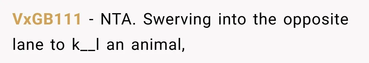 VxGB111 − NTA. Swerving into the opposite lane to k__l an animal,