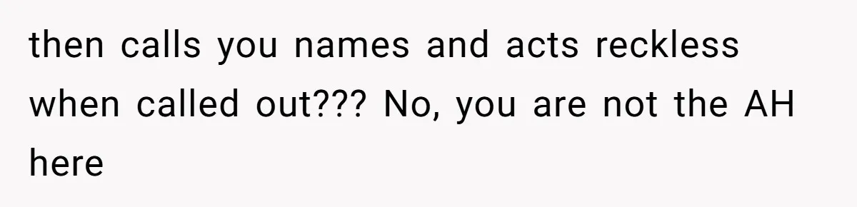 then calls you names and acts reckless when called out??? No, you are not the AH here