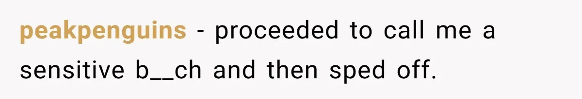 peakpenguins − proceeded to call me a sensitive b__ch and then sped off.