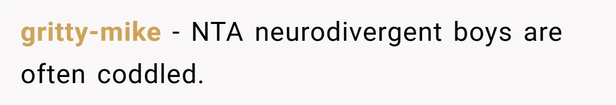 gritty-mike − NTA neurodivergent boys are often coddled.