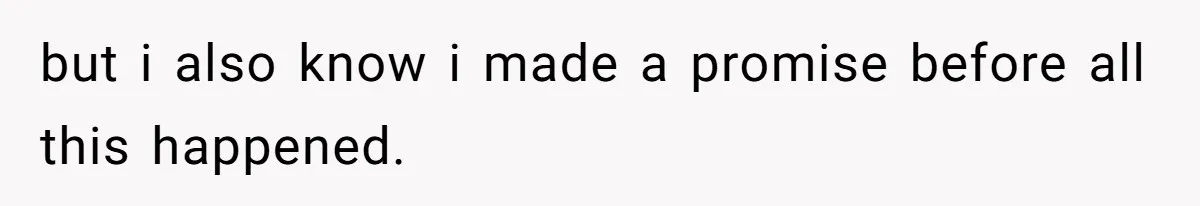 but i also know i made a promise before all this happened.