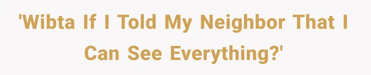 'WIBTA If I told my neighbor that I can see everything?'