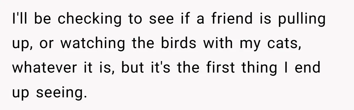 I'll be checking to see if a friend is pulling up, or watching the birds with my cats, whatever it is, but it's the first thing I end up seeing.