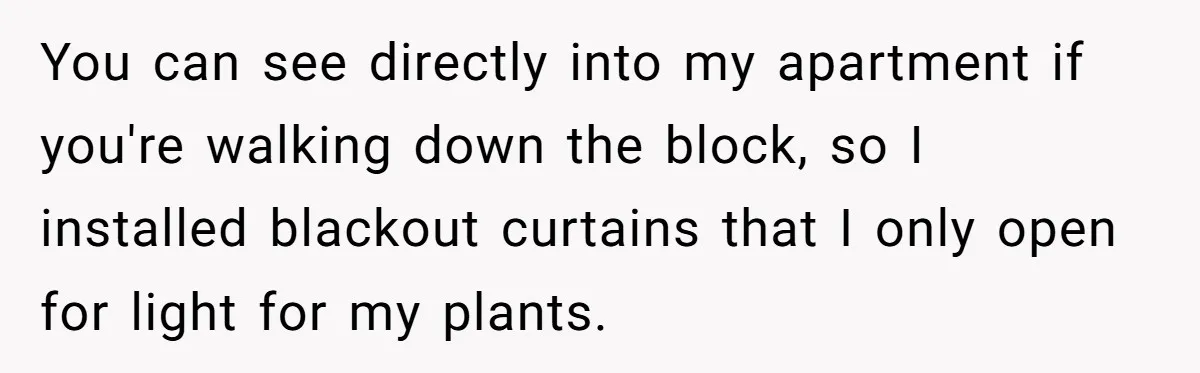 You can see directly into my apartment if you're walking down the block, so I installed blackout curtains that I only open for light for my plants.