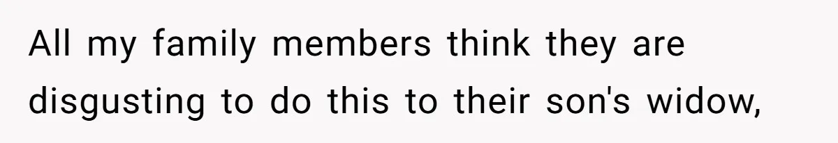 All my family members think they are disgusting to do this to their son's widow,