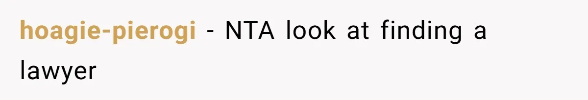 hoagie-pierogi − NTA look at finding a lawyer