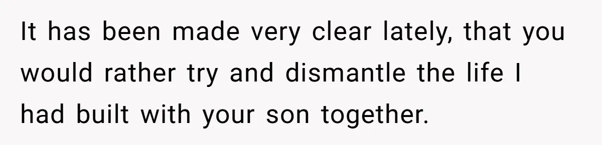 It has been made very clear lately, that you would rather try and dismantle the life I had built with your son together.