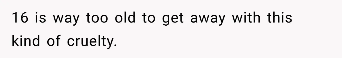 16 is way too old to get away with this kind of cruelty.