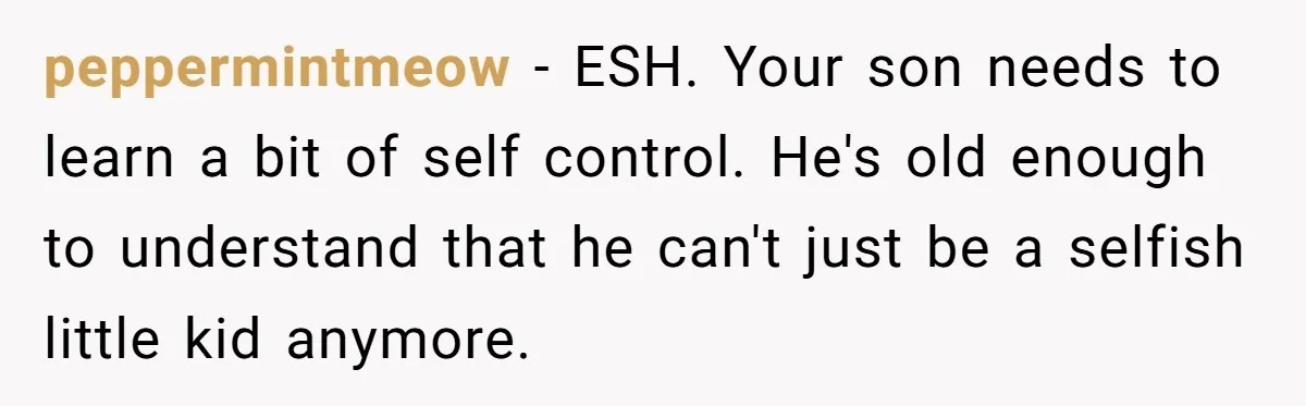 peppermintmeow − ESH. Your son needs to learn a bit of self control. He's old enough to understand that he can't just be a selfish little kid anymore.