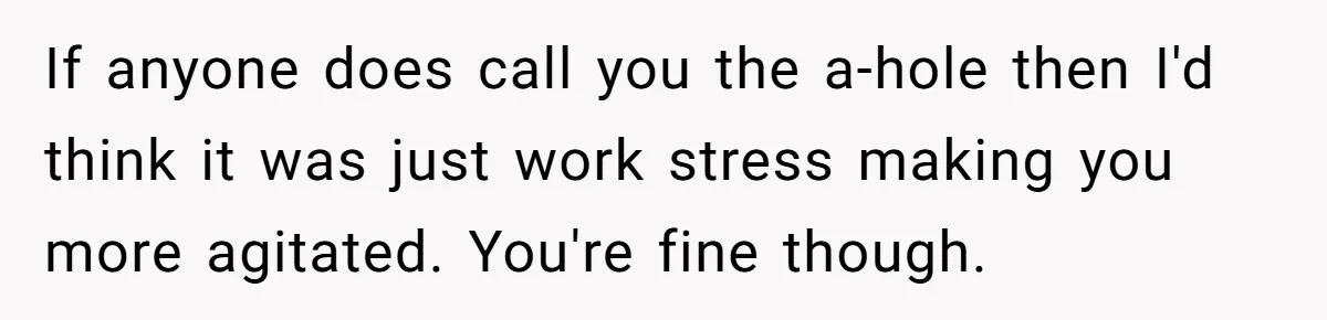 If anyone does call you the a-hole then I'd think it was just work stress making you more agitated. You're fine though.