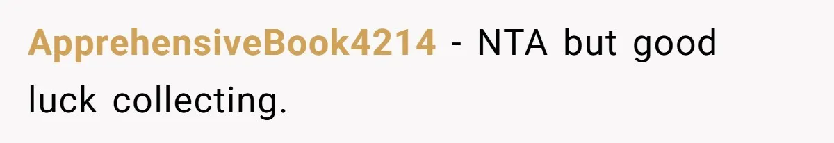 ApprehensiveBook4214 − NTA but good luck collecting.