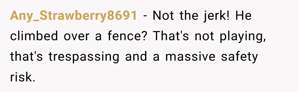 Any_Strawberry8691 − Not the jerk! He climbed over a fence? That's not playing, that's trespassing and a massive safety risk.