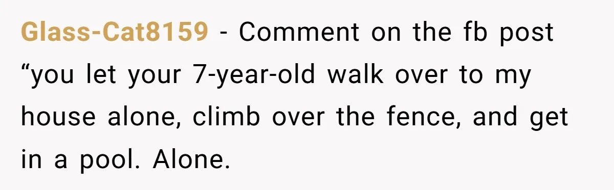 Glass-Cat8159 − Comment on the fb post “you let your 7-year-old walk over to my house alone, climb over the fence, and get in a pool. Alone.
