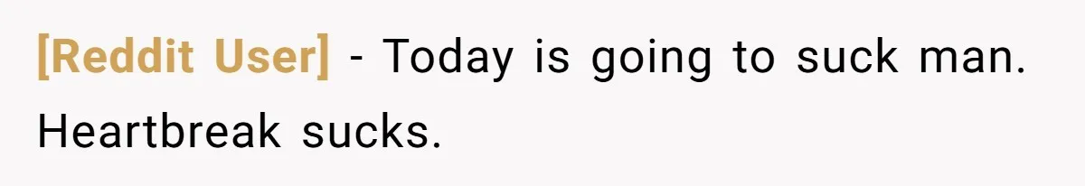 [Reddit User] − Today is going to suck man. Heartbreak sucks.