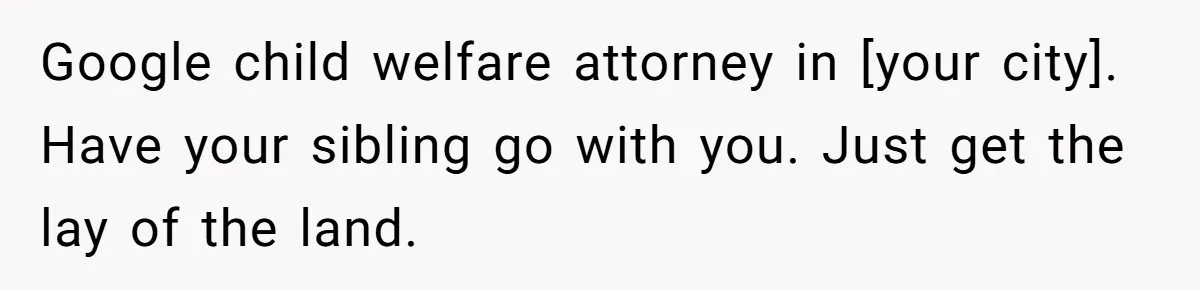 Google child welfare attorney in [your city]. Have your sibling go with you. Just get the lay of the land.