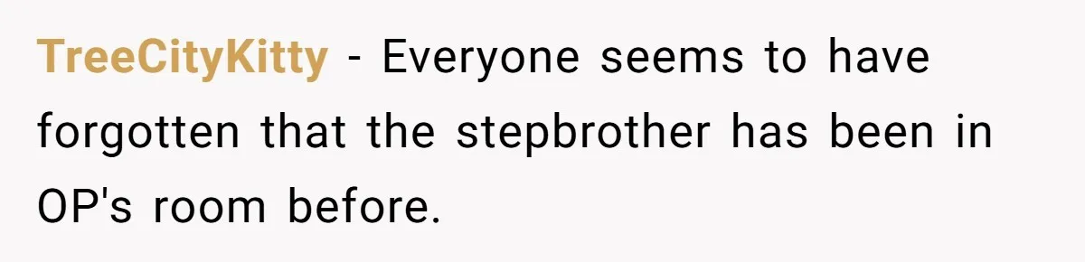 TreeCityKitty − Everyone seems to have forgotten that the stepbrother has been in OP's room before.