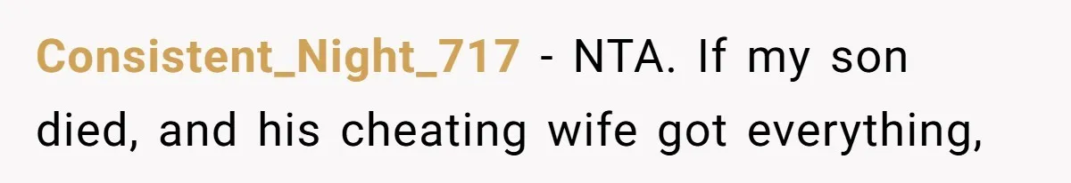 Consistent_Night_717 − NTA. If my son died, and his cheating wife got everything,