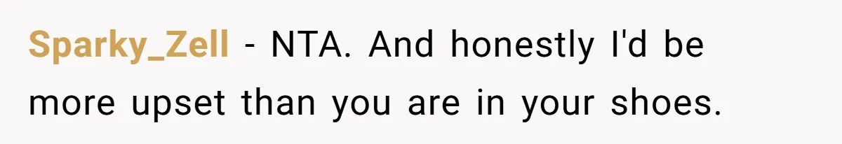 Sparky_Zell − NTA. And honestly I'd be more upset than you are in your shoes.